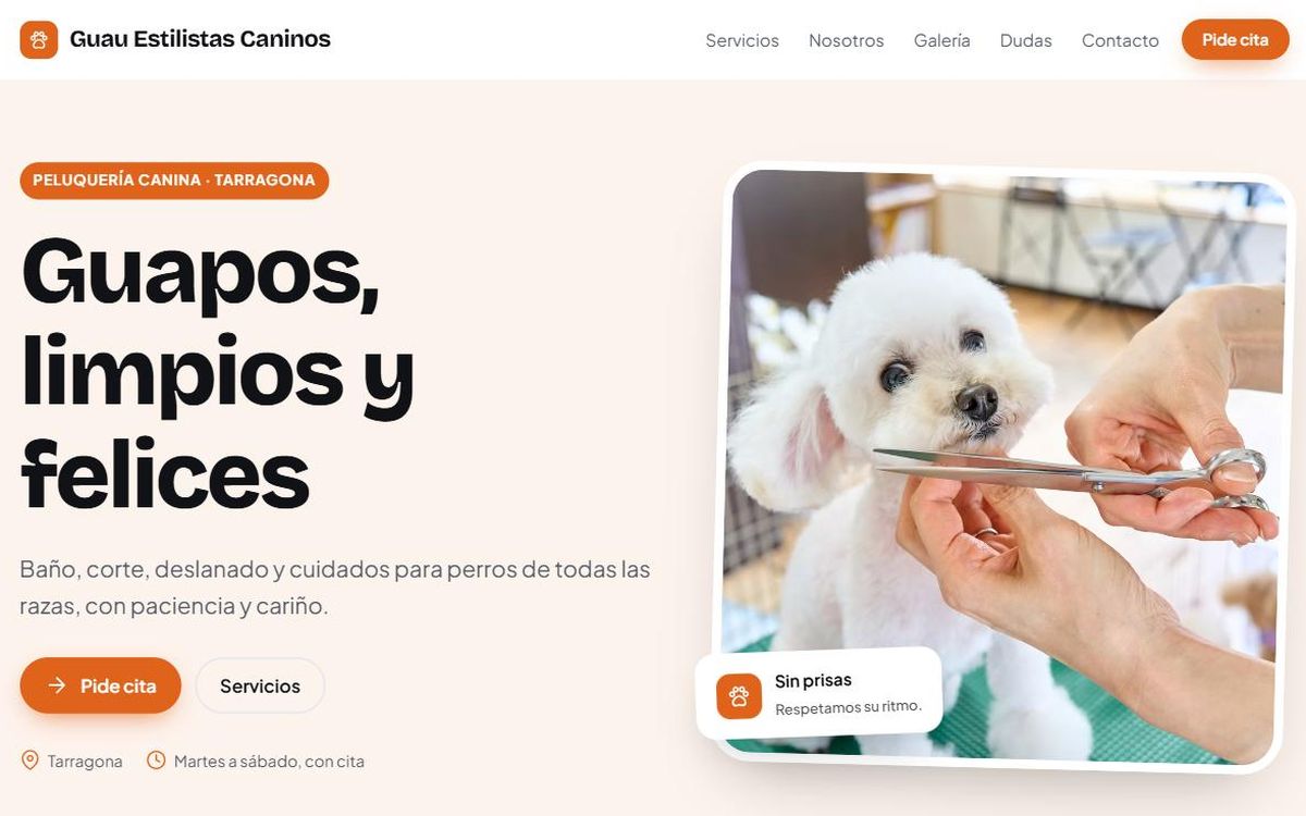 Ejemplo de web para peluquería canina